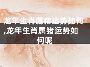 龙年生肖属猪运势如何,龙年生肖属猪运势如何呢
