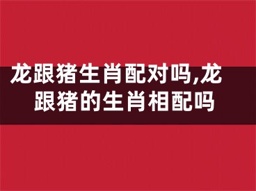 龙跟猪生肖配对吗,龙跟猪的生肖相配吗
