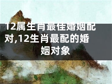 12属生肖最佳婚姻配对,12生肖最配的婚姻对象