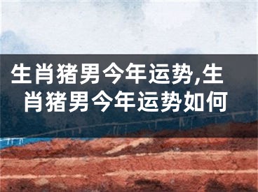 生肖猪男今年运势,生肖猪男今年运势如何