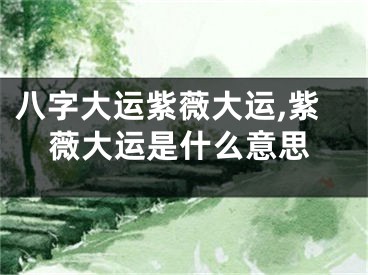 八字大运紫薇大运,紫薇大运是什么意思