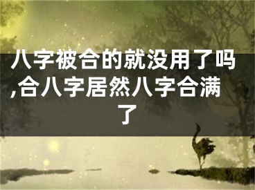 八字被合的就没用了吗,合八字居然八字合满了