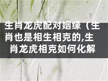 生肖龙虎配对姻缘（生肖也是相生相克的,生肖龙虎相克如何化解