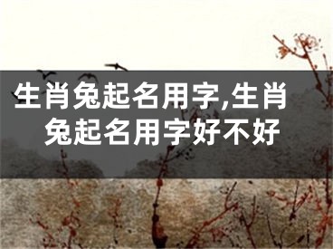 生肖兔起名用字,生肖兔起名用字好不好