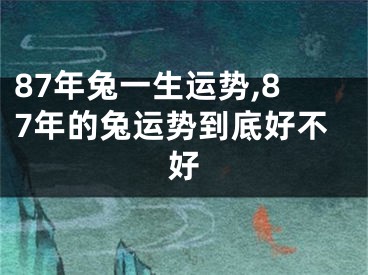 87年兔一生运势,87年的兔运势到底好不好