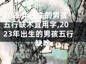2023年出生的男孩五行缺木宜用字,2023年出生的男孩五行缺啥