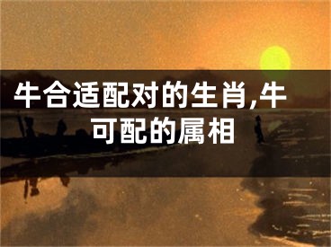 牛合适配对的生肖,牛可配的属相