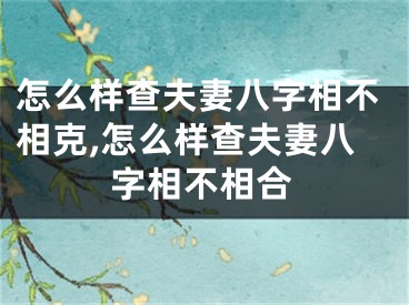 怎么样查夫妻八字相不相克,怎么样查夫妻八字相不相合