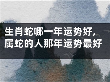 生肖蛇哪一年运势好,属蛇的人那年运势最好