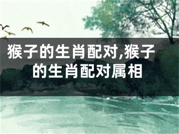 猴子的生肖配对,猴子的生肖配对属相