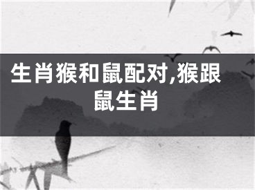 生肖猴和鼠配对,猴跟鼠生肖