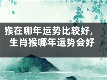 猴在哪年运势比较好,生肖猴哪年运势会好