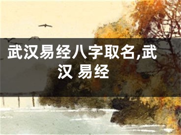 武汉易经八字取名,武汉 易经