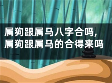 属狗跟属马八字合吗,属狗跟属马的合得来吗
