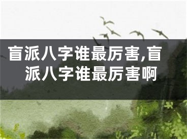 盲派八字谁最厉害,盲派八字谁最厉害啊