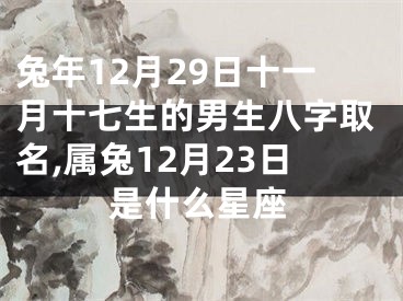 兔年12月29日十一月十七生的男生八字取名,属兔12月23日是什么星座