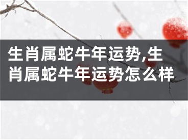 生肖属蛇牛年运势,生肖属蛇牛年运势怎么样