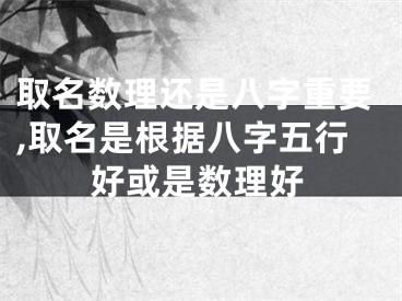取名数理还是八字重要,取名是根据八字五行好或是数理好