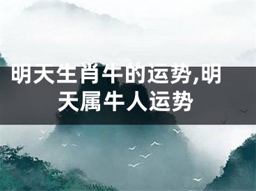 明天生肖牛的运势,明天属牛人运势