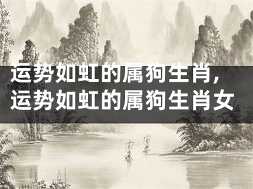 运势如虹的属狗生肖,运势如虹的属狗生肖女