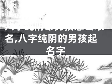 八字纯阴命男孩怎么取名,八字纯阴的男孩起名字