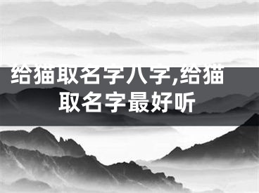 给猫取名字八字,给猫取名字最好听