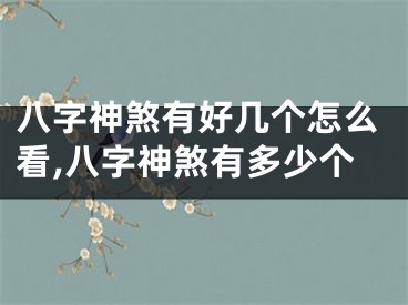 八字神煞有好几个怎么看,八字神煞有多少个