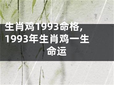 生肖鸡1993命格,1993年生肖鸡一生命运