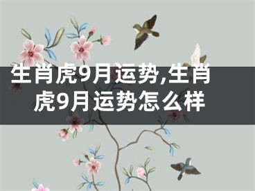 生肖虎9月运势,生肖虎9月运势怎么样