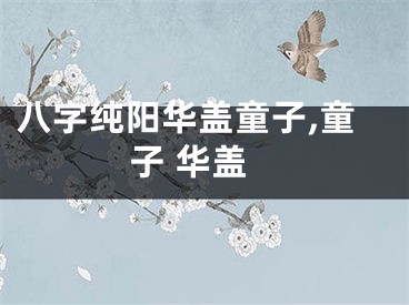 八字纯阳华盖童子,童子 华盖