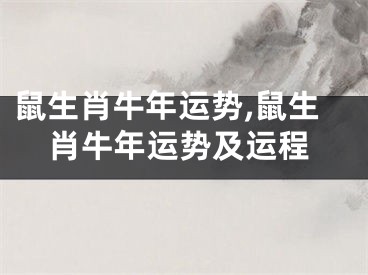 鼠生肖牛年运势,鼠生肖牛年运势及运程