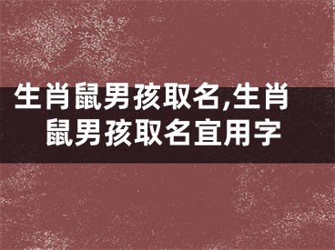 生肖鼠男孩取名,生肖鼠男孩取名宜用字