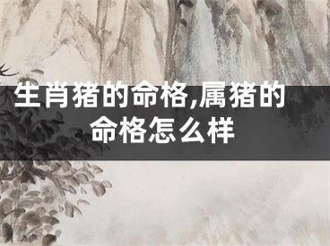 生肖猪的命格,属猪的命格怎么样