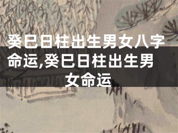 癸巳日柱出生男女八字命运,癸巳日柱出生男女命运