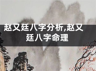 赵又廷八字分析,赵又廷八字命理