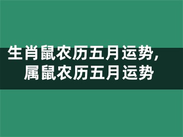 生肖鼠农历五月运势,属鼠农历五月运势