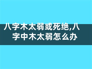八字木太弱或死绝,八字中木太弱怎么办