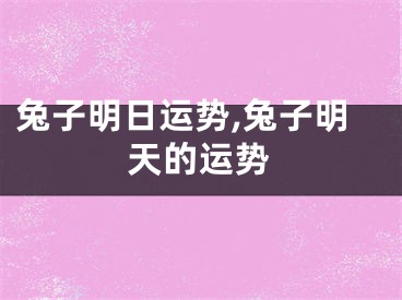兔子明日运势,兔子明天的运势