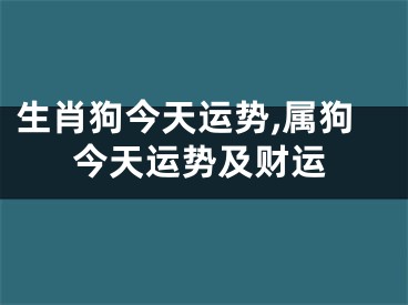 生肖狗今天运势,属狗今天运势及财运