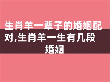 生肖羊一辈子的婚姻配对,生肖羊一生有几段婚姻