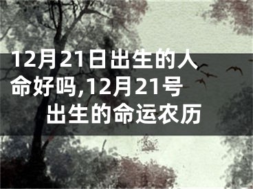 12月21日出生的人命好吗,12月21号出生的命运农历