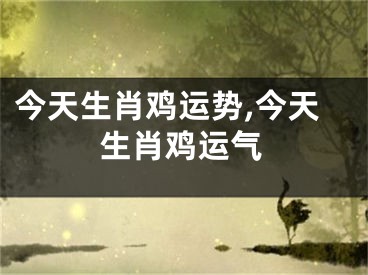 今天生肖鸡运势,今天生肖鸡运气