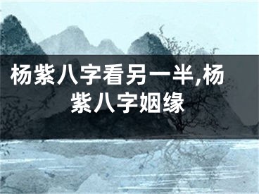 杨紫八字看另一半,杨紫八字姻缘