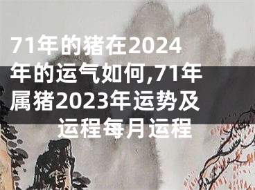 71年的猪在2024年的运气如何,71年属猪2023年运势及运程每月运程