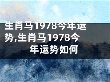 生肖马1978今年运势,生肖马1978今年运势如何