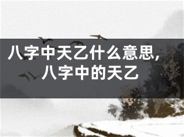 八字中天乙什么意思,八字中的天乙
