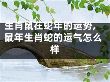 生肖鼠在蛇年的运势,鼠年生肖蛇的运气怎么样