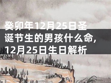 癸卯年12月25日圣诞节生的男孩什么命,12月25日生日解析