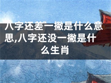八字还差一撇是什么意思,八字还没一撇是什么生肖