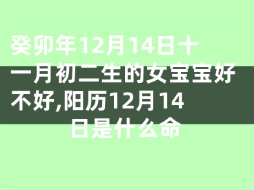 癸卯年12月14日十一月初二生的女宝宝好不好,阳历12月14日是什么命